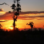 noise monitoring at sunset