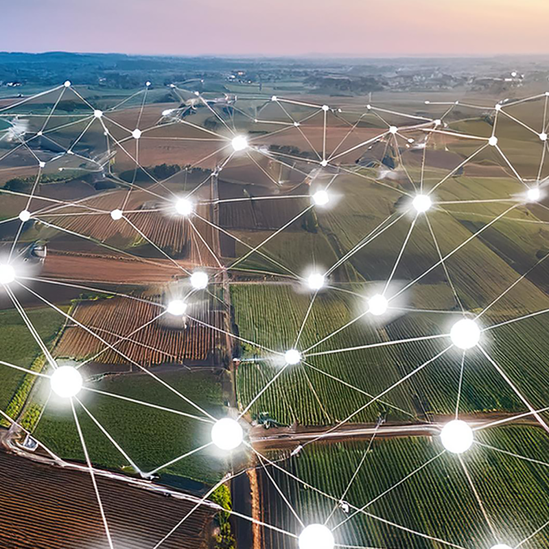 Generated example image of LoRaMesh nodes across farmland.